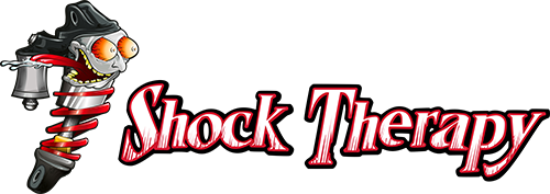 Shock Therapy Logo